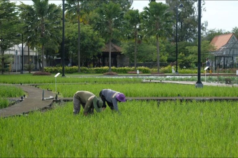 Transformasi Eks Narapidana Terorisme: Dari Senjata ke Cangkul demi Ketahanan Pangan